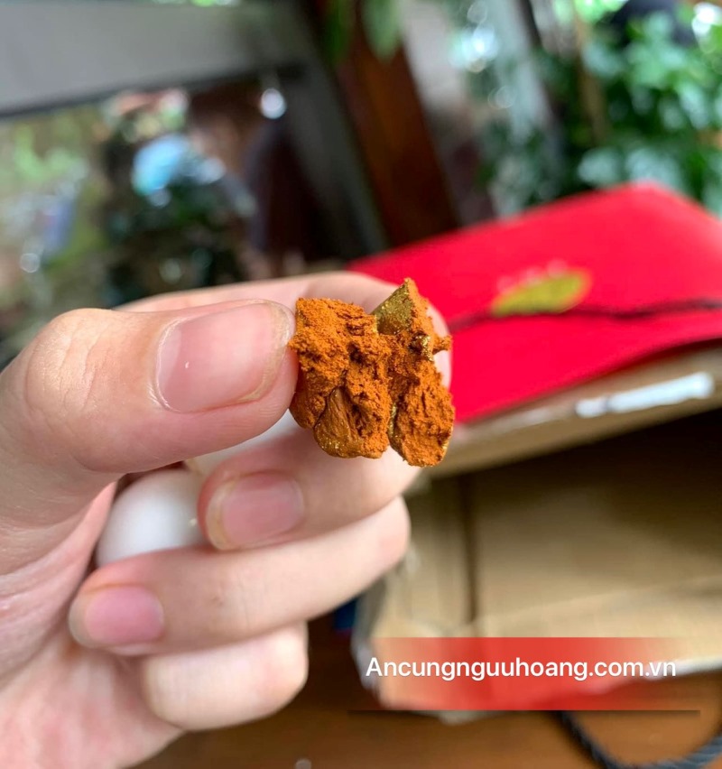 Câu hỏi về sử dụng an cung ngưu hoàng